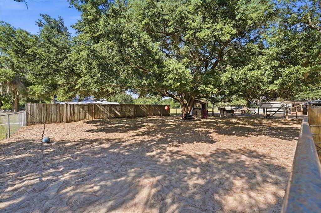 For Sale: $575,000 (4 beds, 2 baths, 2278 Square Feet)