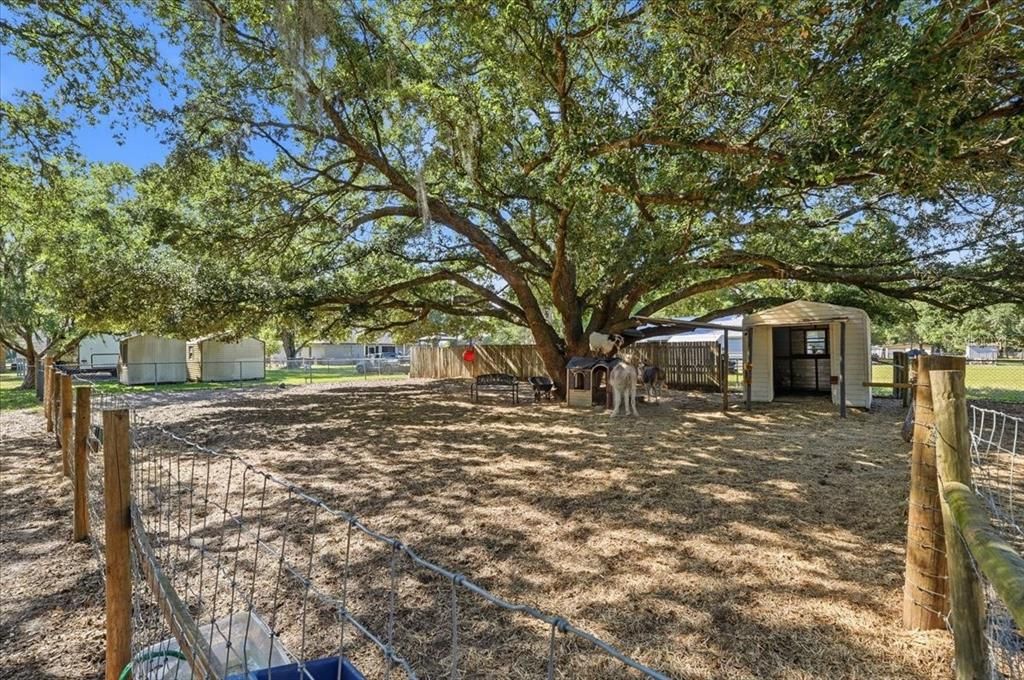 For Sale: $575,000 (4 beds, 2 baths, 2278 Square Feet)