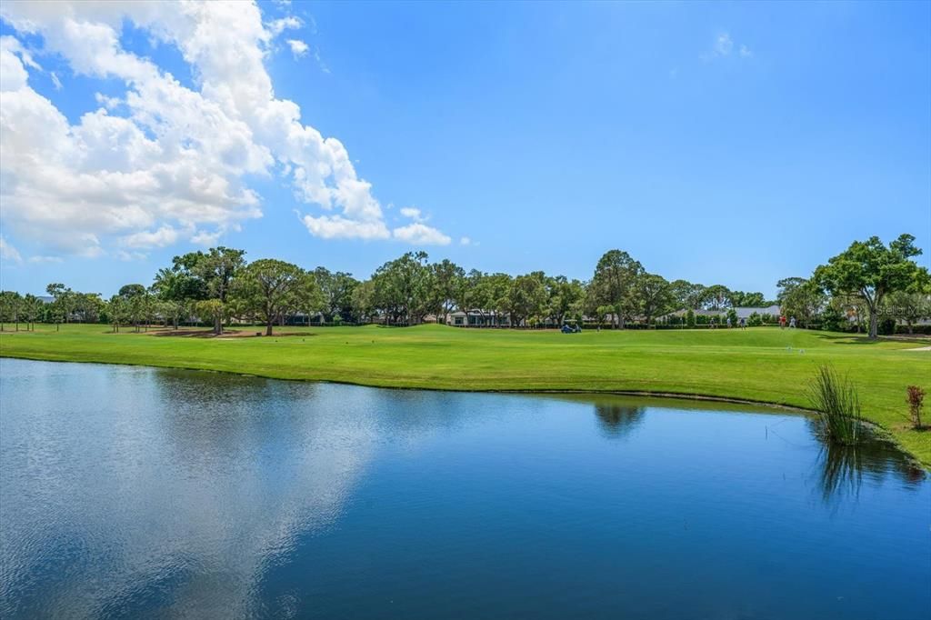 For Sale: $4,999,000 (5 beds, 4 baths, 3850 Square Feet)