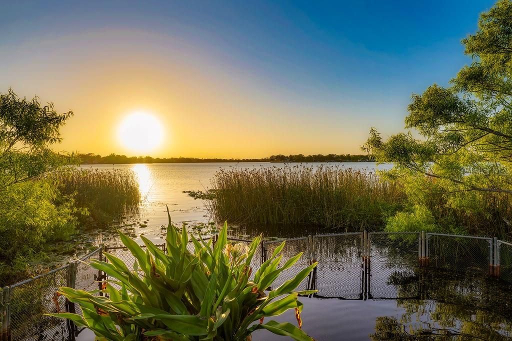 For Sale: $4,200,000 (0.34 acres)
