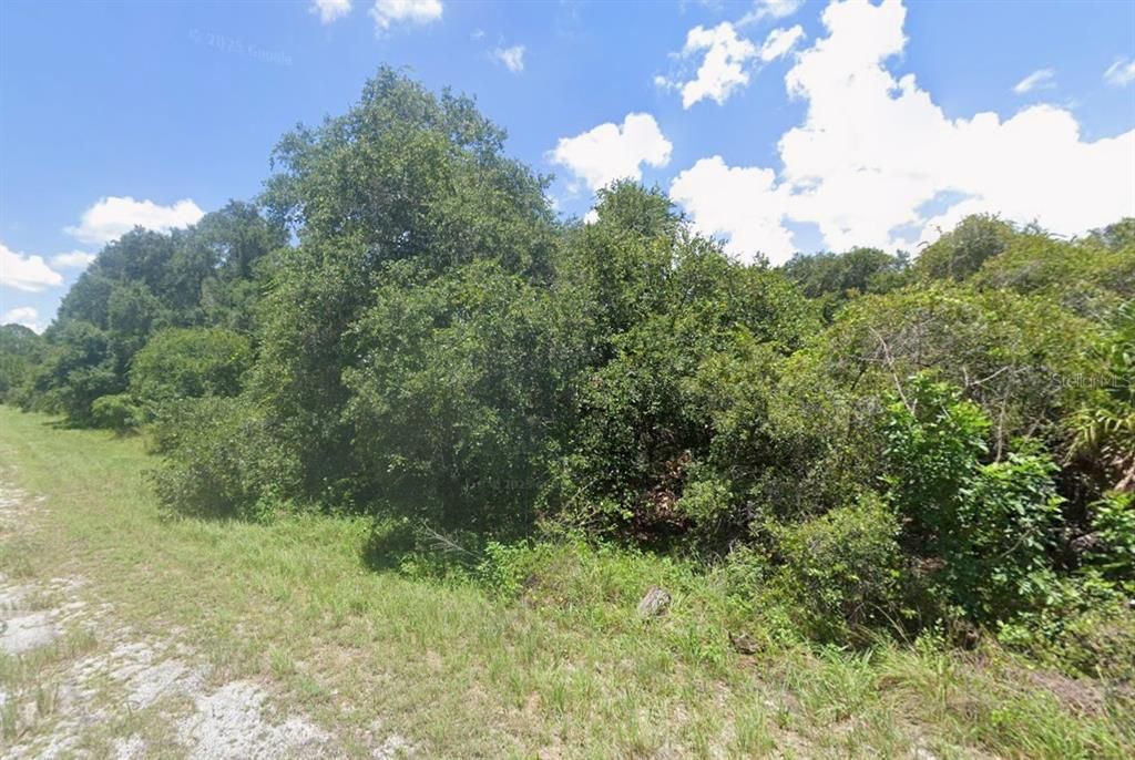 For Sale: $14,000 (0.24 acres)
