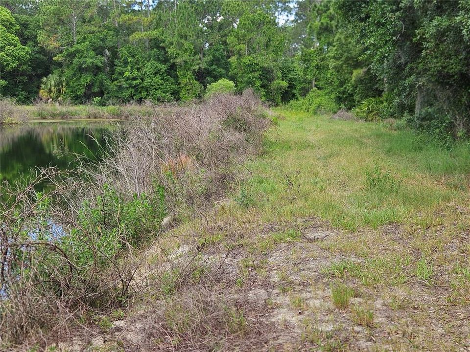 For Sale: $320,000 (10.00 acres)