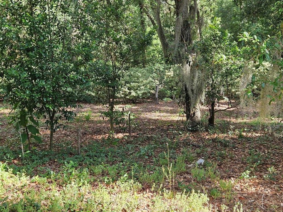 For Sale: $320,000 (10.00 acres)