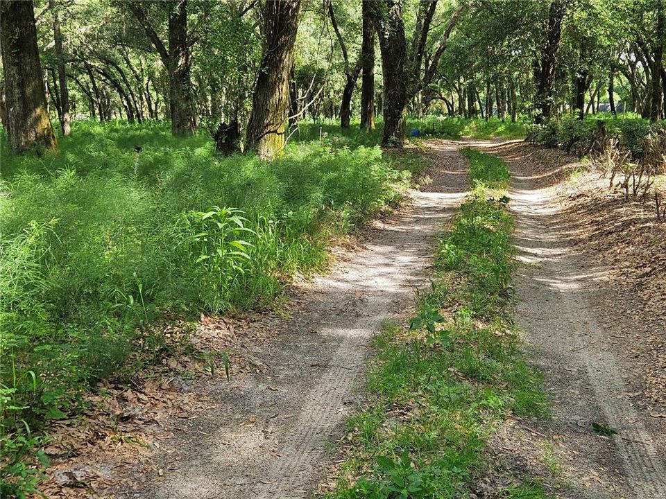 For Sale: $320,000 (10.00 acres)