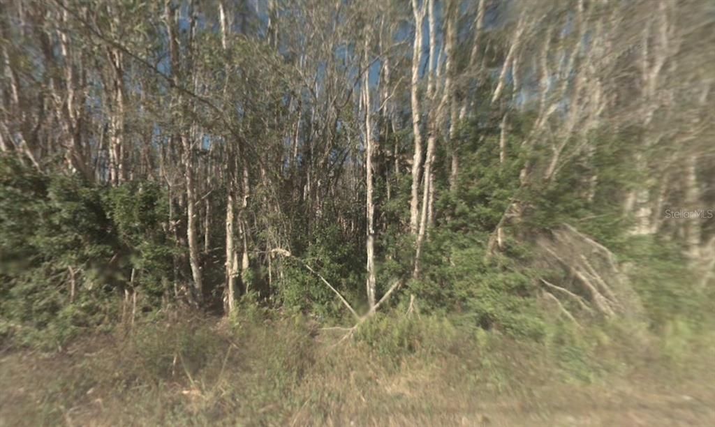 For Sale: $211,999 (1.26 acres)