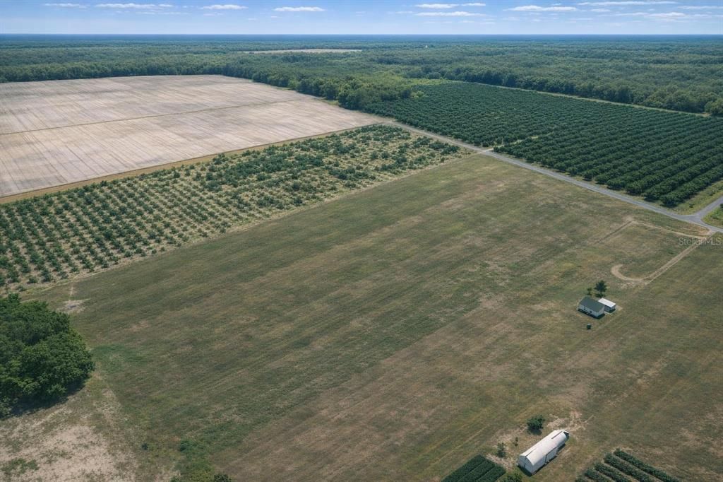 For Sale: $129,000 (5.00 acres)