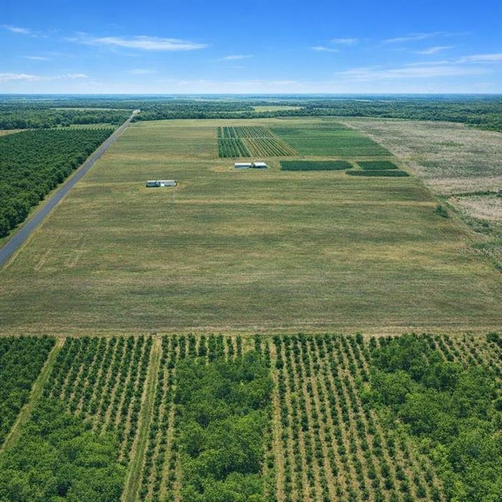 For Sale: $129,000 (5.00 acres)