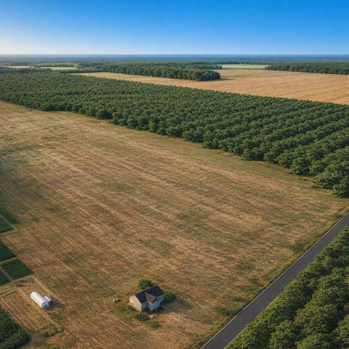 For Sale: $129,000 (5.00 acres)