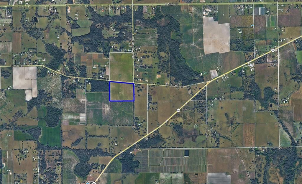 For Sale: $589,000 (31.00 acres)