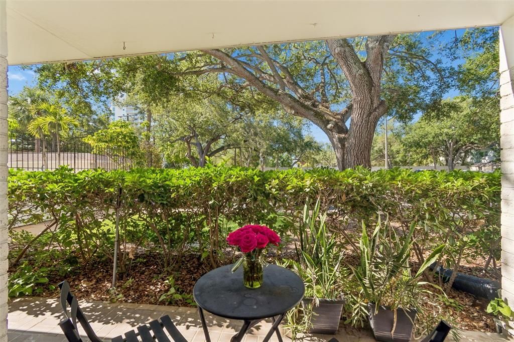 For Rent: $1,800 (1 beds, 1 baths, 728 Square Feet)