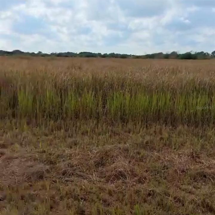 En Venta: $142,000 (4.00 acres)