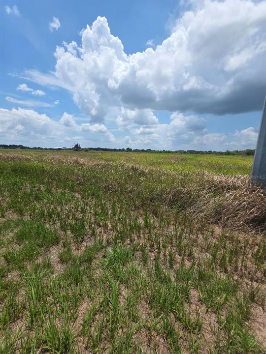 En Venta: $142,000 (4.00 acres)