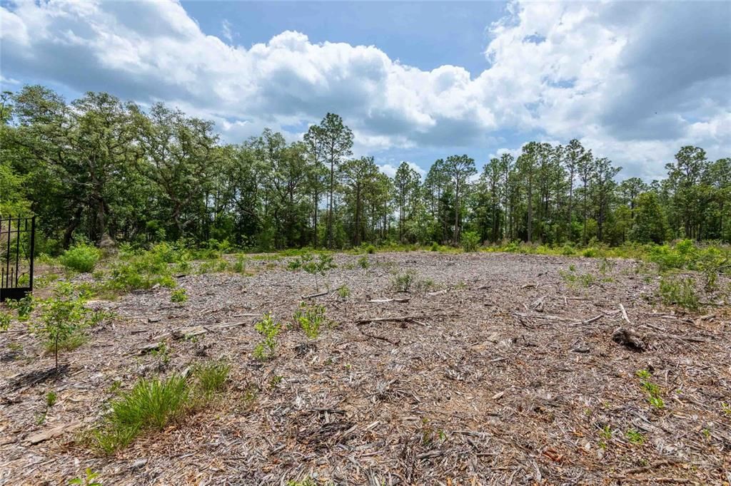 На продажу: $1,800,000 (4.60 acres)