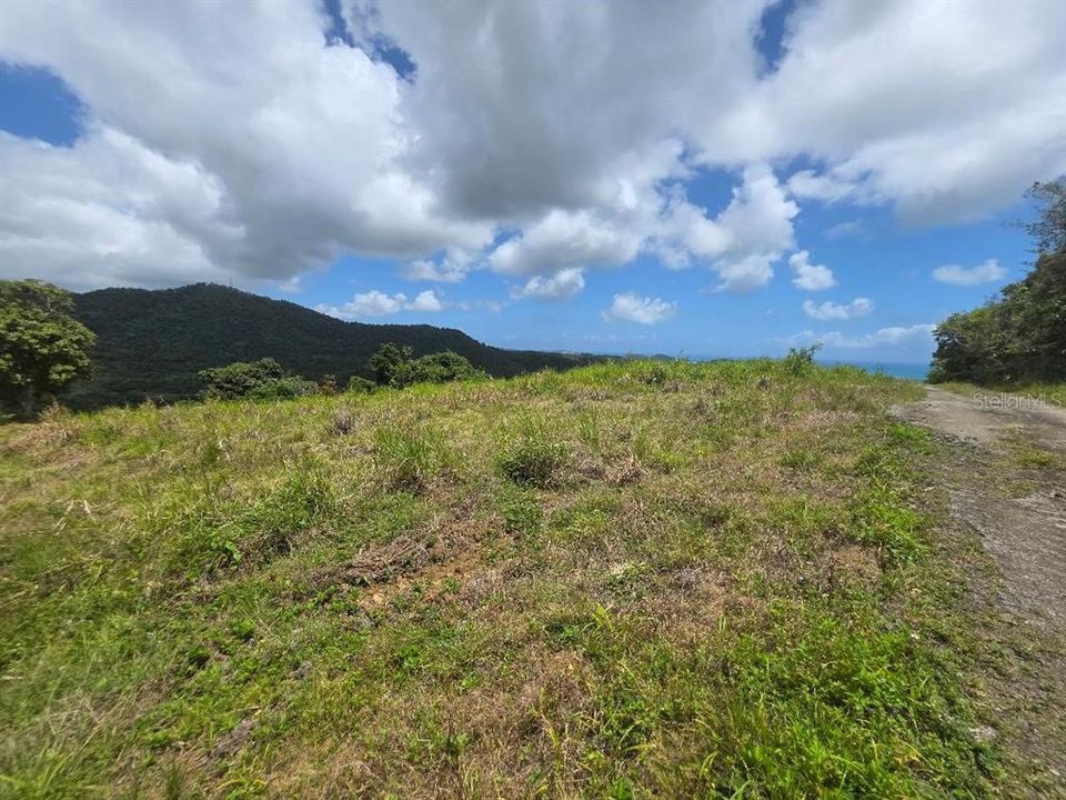 На продажу: $295,000 (4.90 acres)