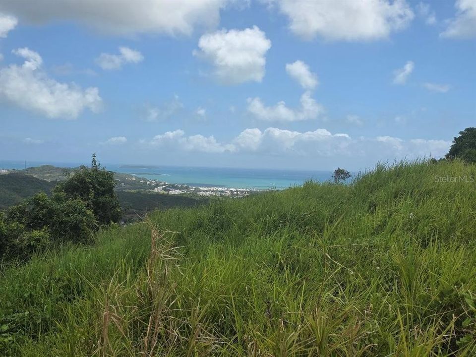 На продажу: $295,000 (4.90 acres)