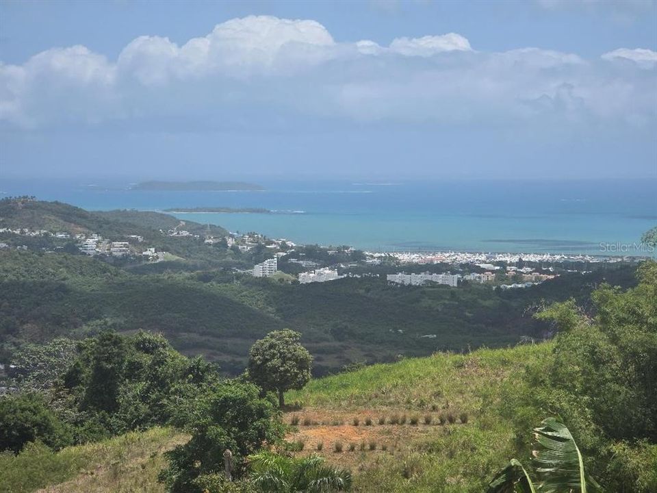 На продажу: $295,000 (4.90 acres)