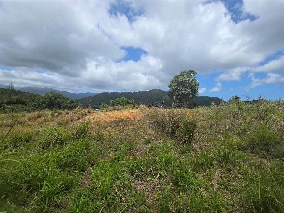 На продажу: $295,000 (4.90 acres)