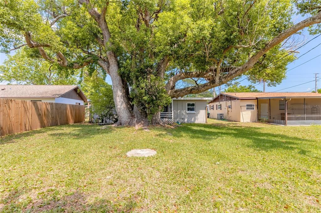 Active With Contract: $175,000 (3 beds, 1 baths, 988 Square Feet)