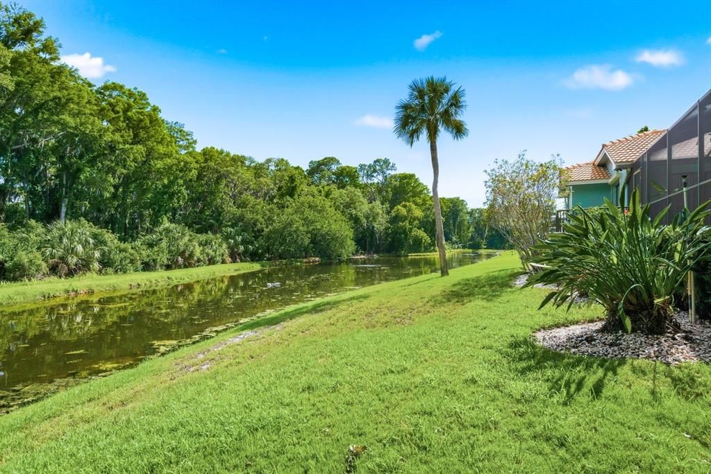 En Venta: $975,000 (5 camas, 3 baños, 3259 Pies cuadrados)