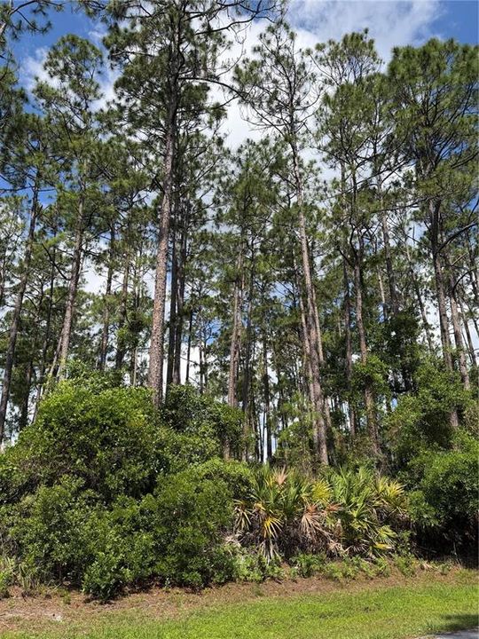 合同活跃: $69,000 (0.25 acres)