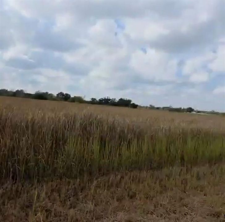 En Venta: $142,000 (4.00 acres)