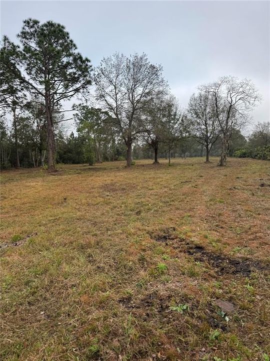 For Sale: $120,000 (3.90 acres)