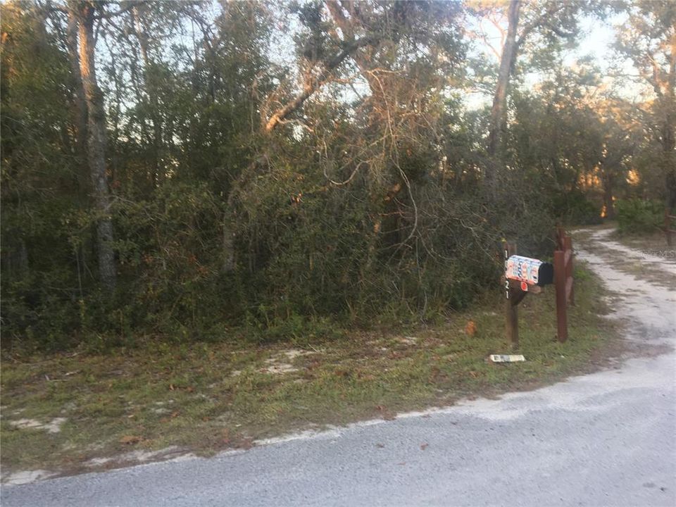 待售: $75,000 (1.56 acres)