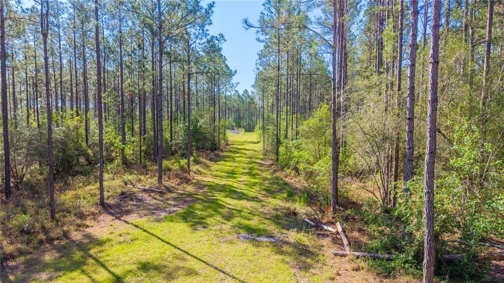 For Sale: $5,300,000 (325.24 acres)