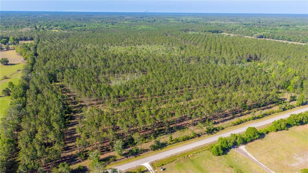 For Sale: $5,300,000 (325.24 acres)