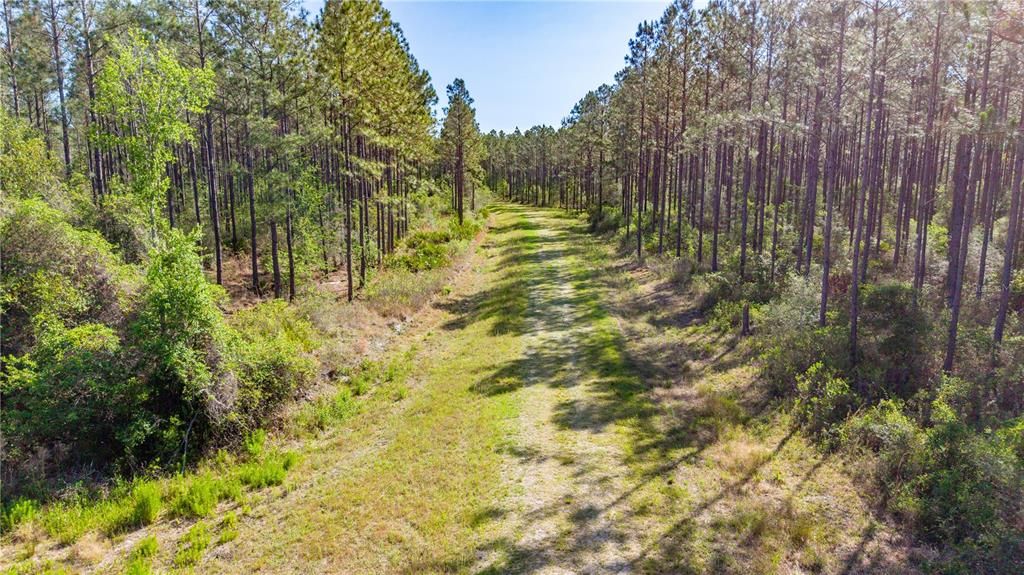 For Sale: $5,300,000 (325.24 acres)