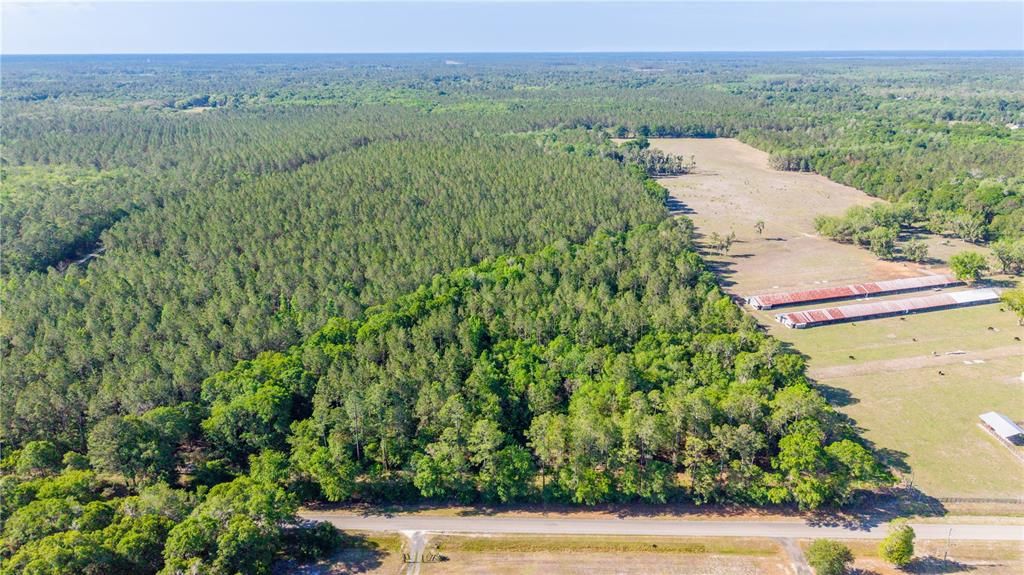 For Sale: $5,300,000 (325.24 acres)
