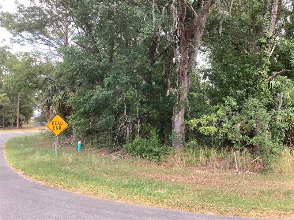 En Venta: $29,900 (0.29 acres)