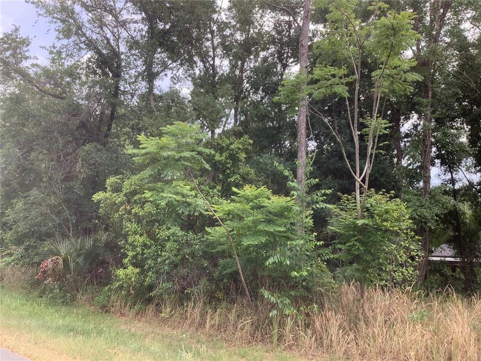 En Venta: $29,900 (0.29 acres)