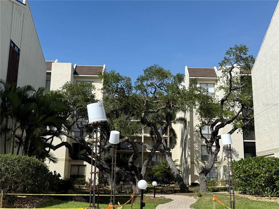For Sale: $529,900 (2 beds, 2 baths, 1332 Square Feet)