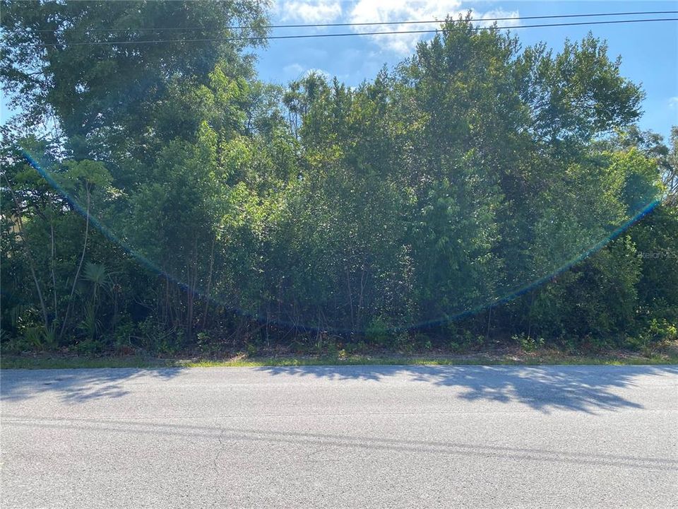 For Sale: $78,000 (0.23 acres)