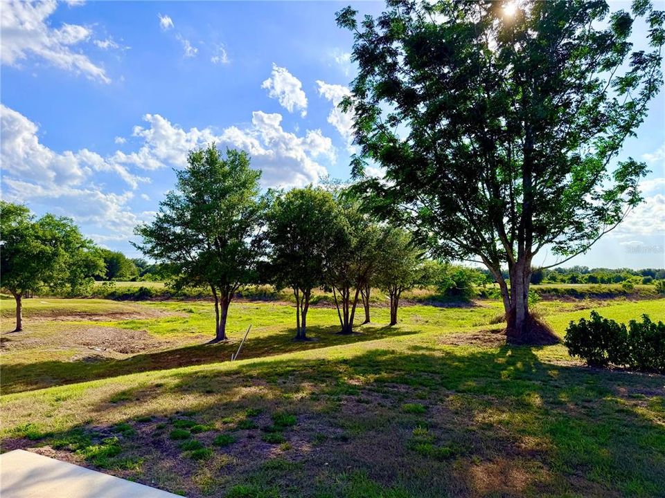 На продажу: $85,900 (0.14 acres)