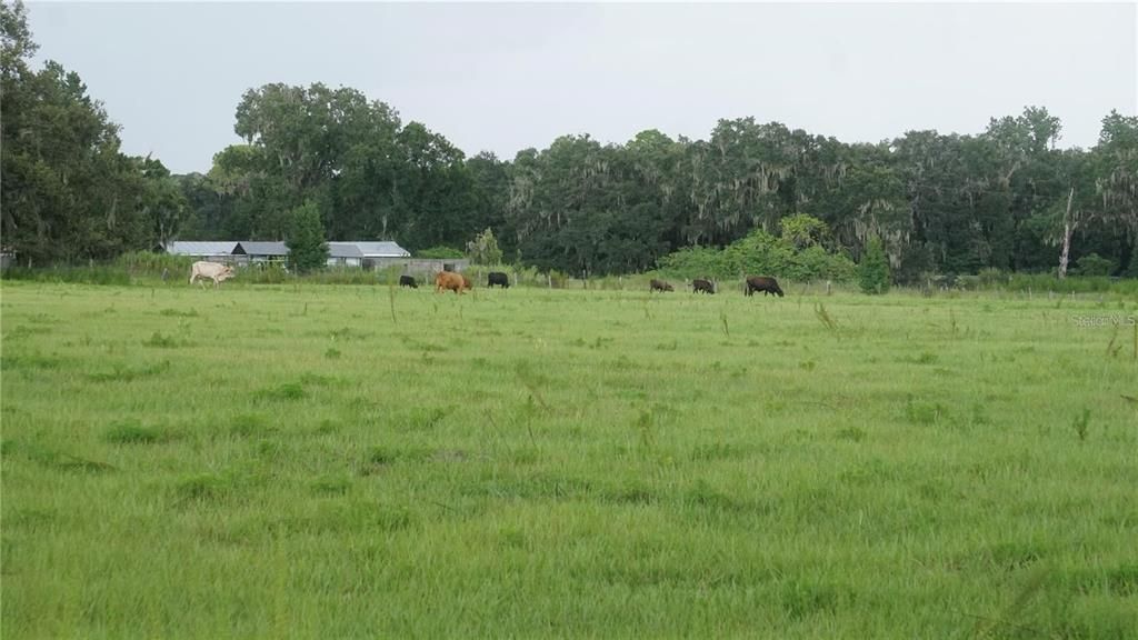 En Venta: $1,900,000 (17.03 acres)