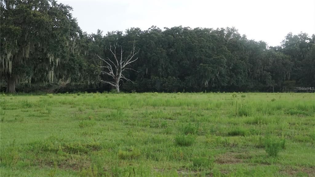 En Venta: $1,900,000 (17.03 acres)