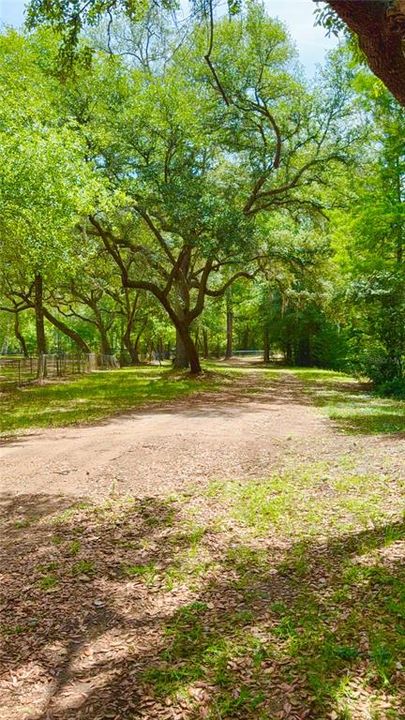 For Sale: $120,000 (0.97 acres)