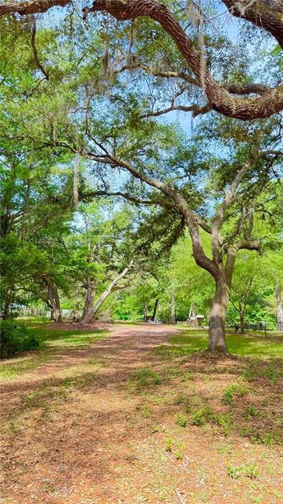 For Sale: $120,000 (0.97 acres)