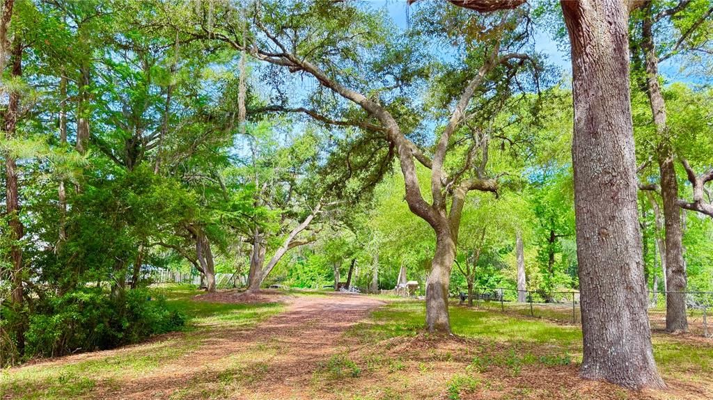 For Sale: $120,000 (0.97 acres)