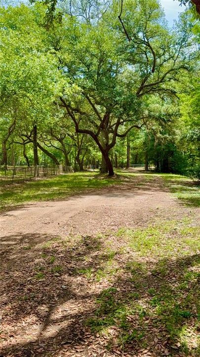 For Sale: $120,000 (0.97 acres)