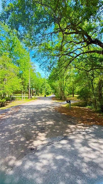 For Sale: $120,000 (0.97 acres)