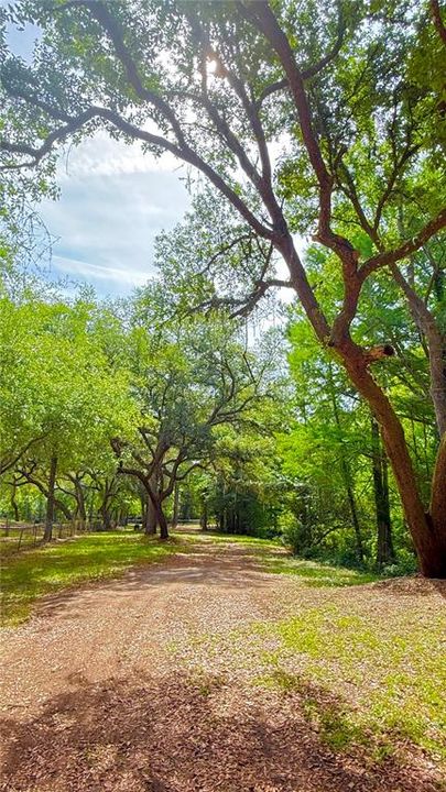 For Sale: $120,000 (0.97 acres)