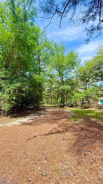 For Sale: $120,000 (0.97 acres)