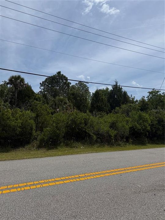 待售: $80,000 (0.23 acres)