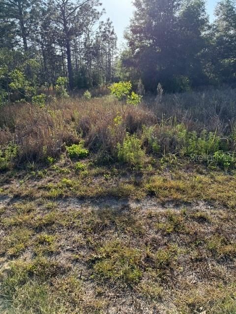For Sale: $35,000 (0.48 acres)