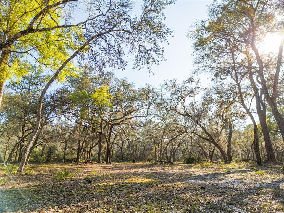 En Venta: $1,150,000 (9.78 acres)
