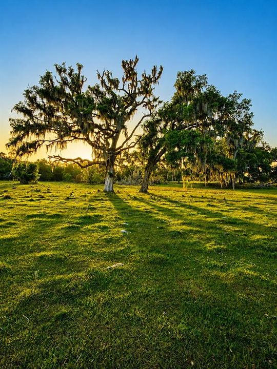 待售: $2,200,000 (55.40 acres)