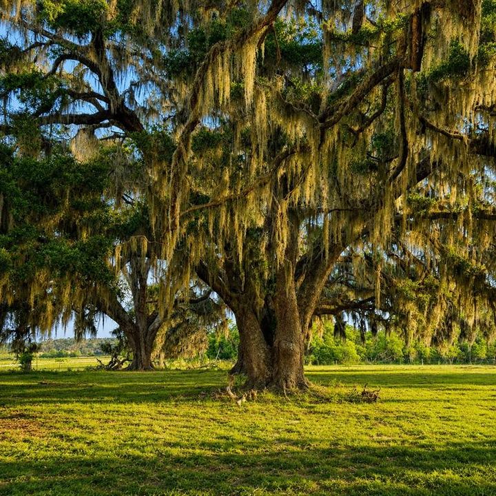 待售: $2,200,000 (55.40 acres)